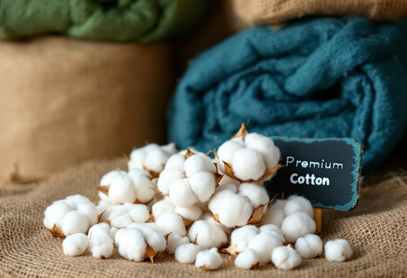 Cotton