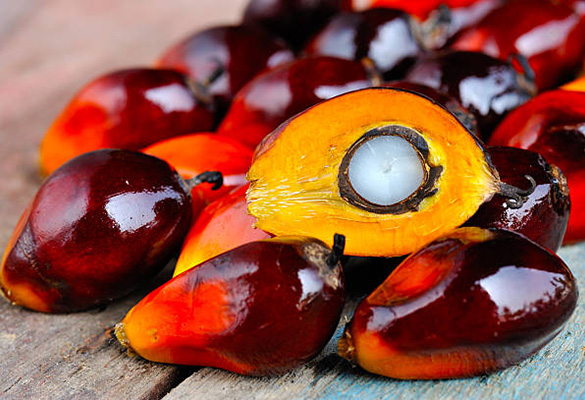Palm Oil